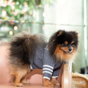 Le Petit Chien Cable Knit Dog Sweater