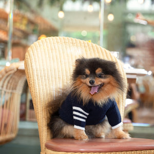 Le Petit Chien Cable Knit Dog Sweater