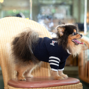 Le Petit Chien Cable Knit Dog Sweater