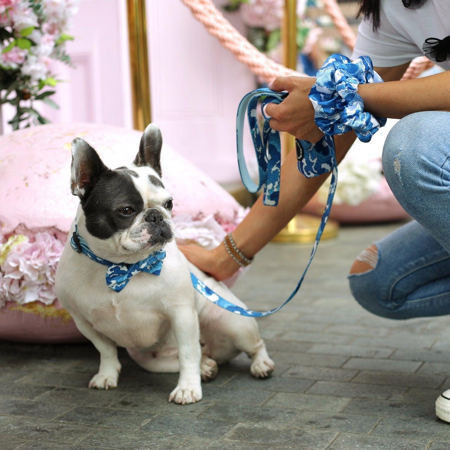 Ocean Adventures Dog Walking  Five Piece Set