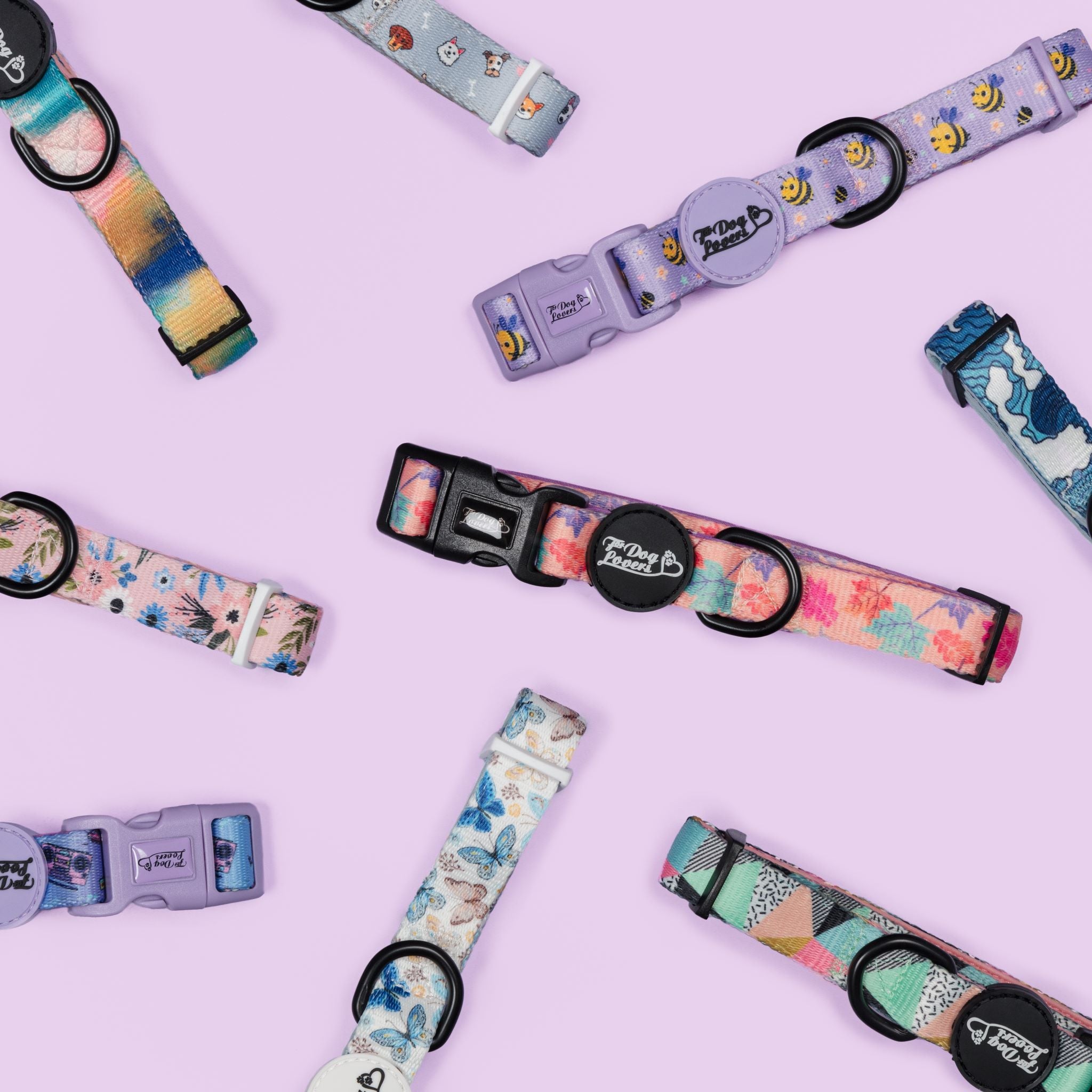 Lightweight Dog Collars