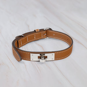 Luxury Leather Dog Collar
