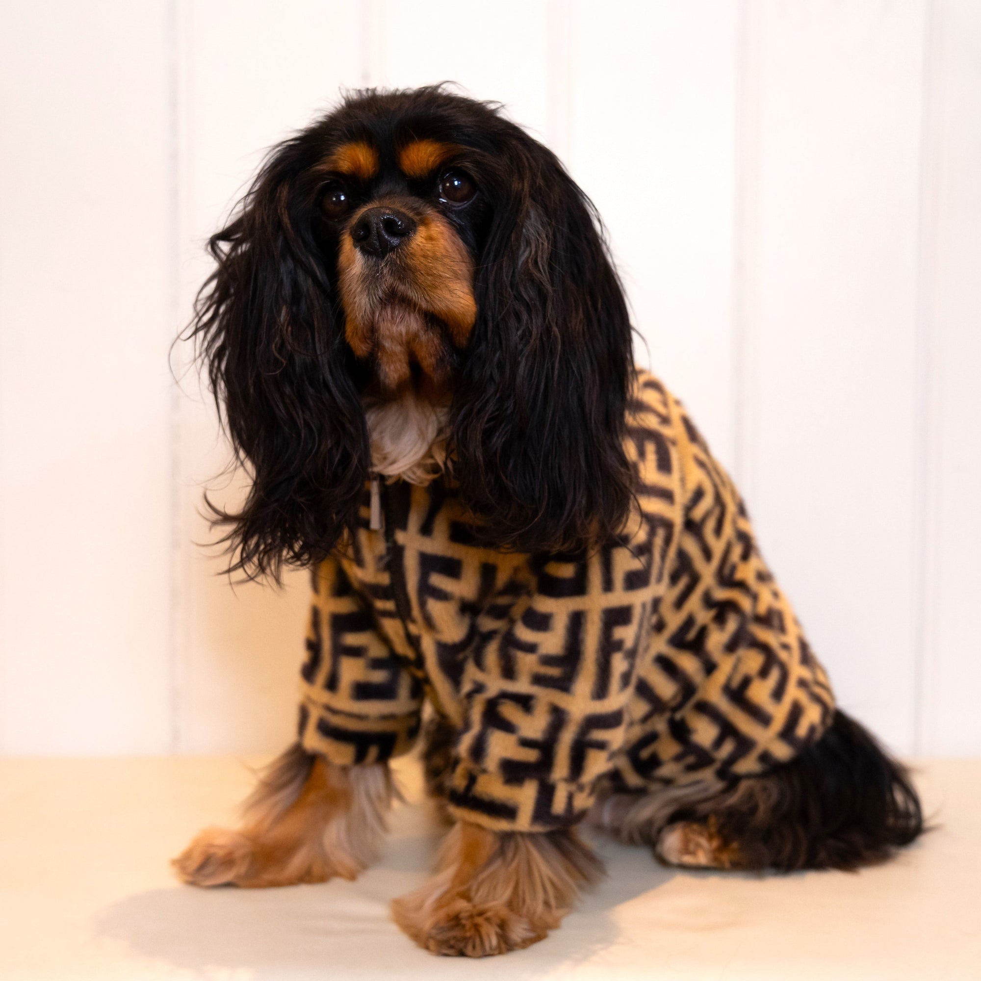Manhattan Fur Dog Coat