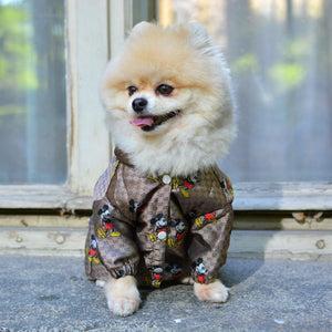 Mickey Designer Dog Hoodie Jacket