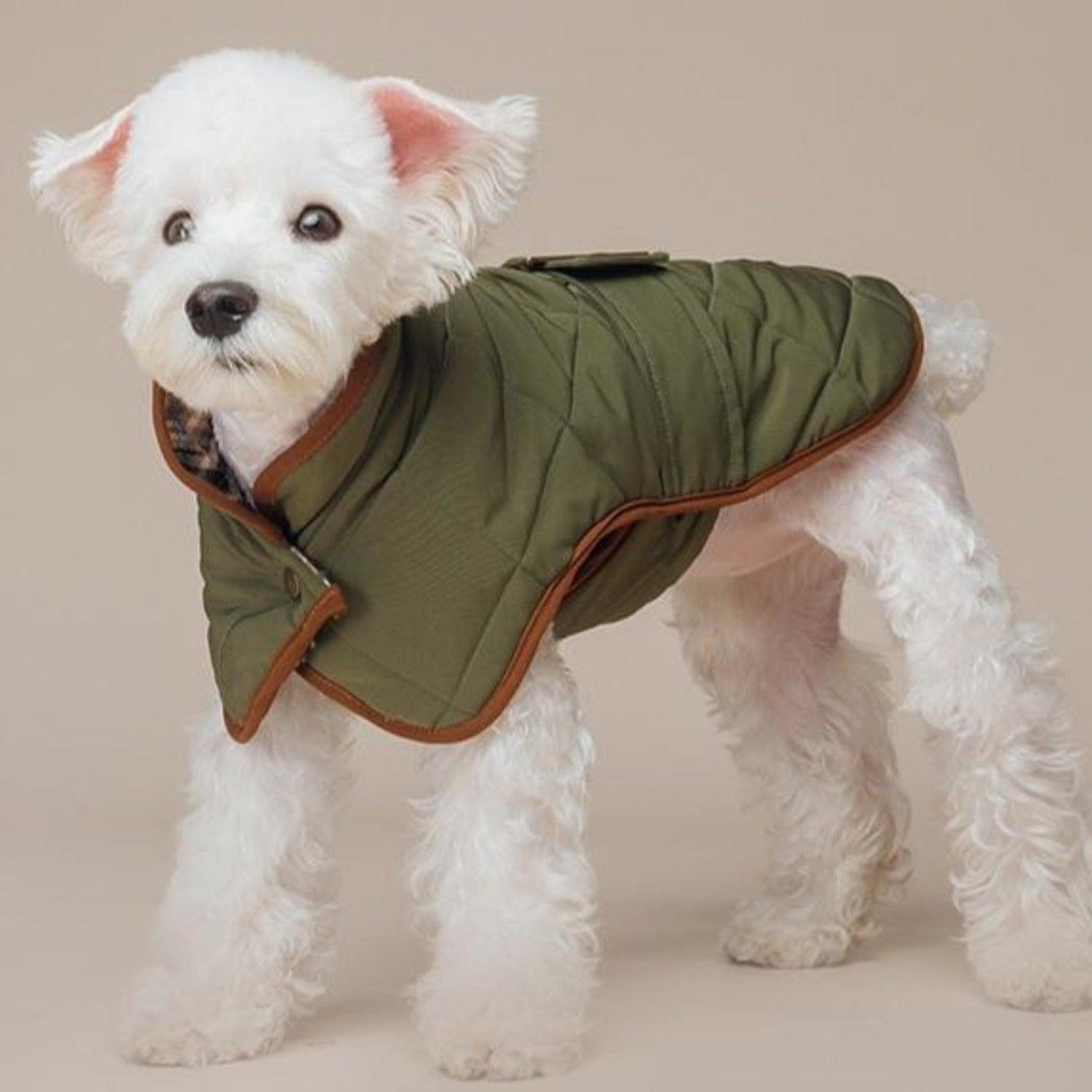 Oxford Quilted Dog Coat