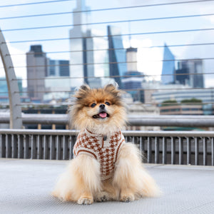 Oxford Style Dog Sweater