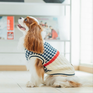 Oxford Style Dog Sweater