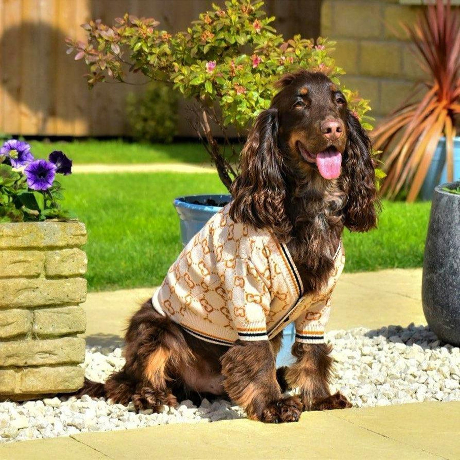 Pawci Designer Dog Sweater Cardigan
