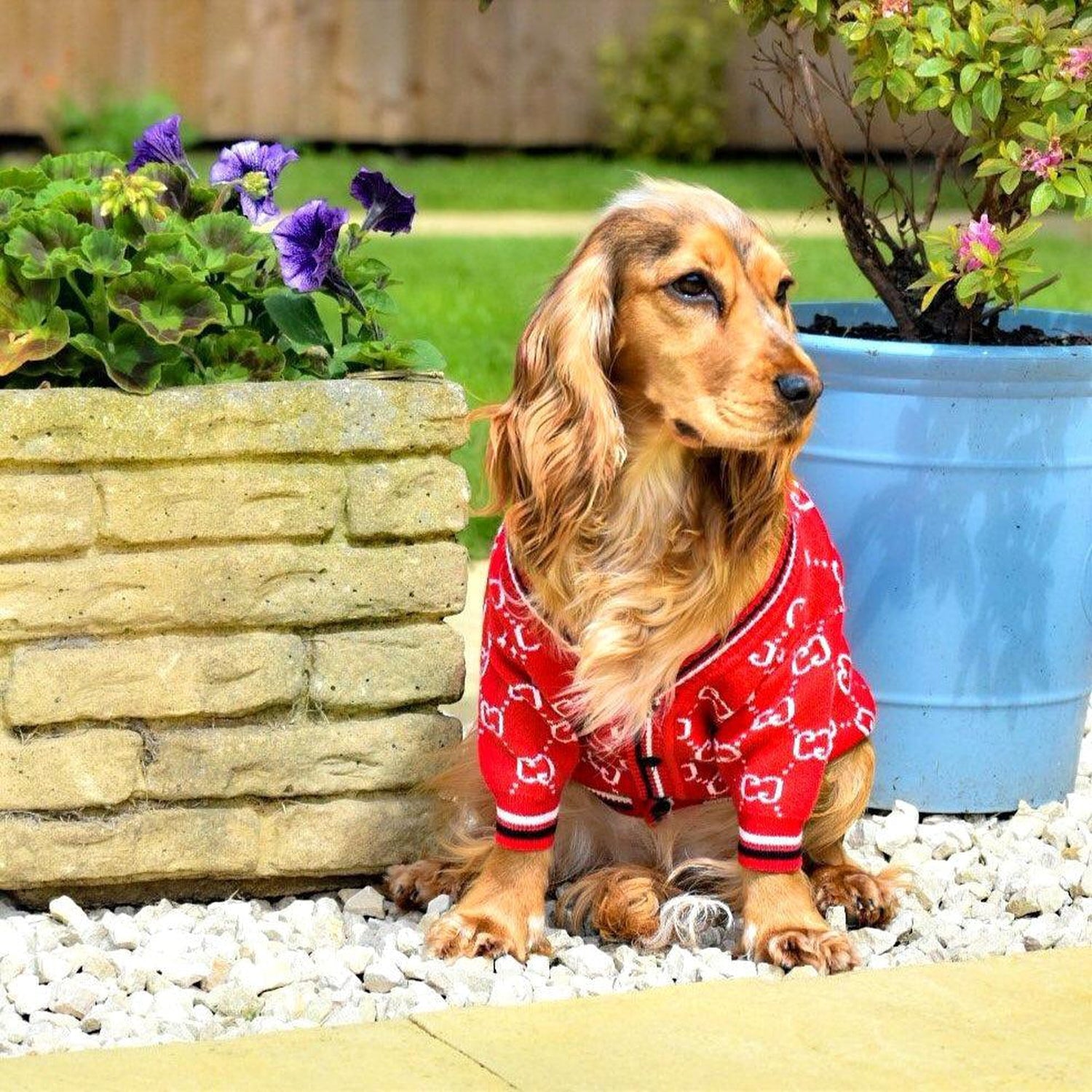 Pawci Designer Dog Sweater Cardigan