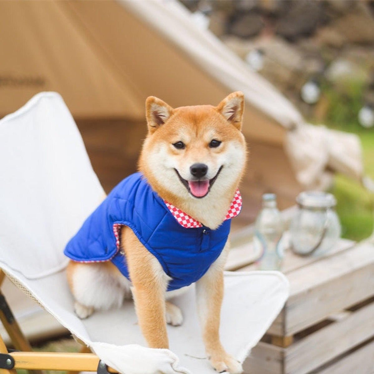 Porsche Reversible Dog Jacket