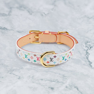 Premium_Leather_Dog_Collar