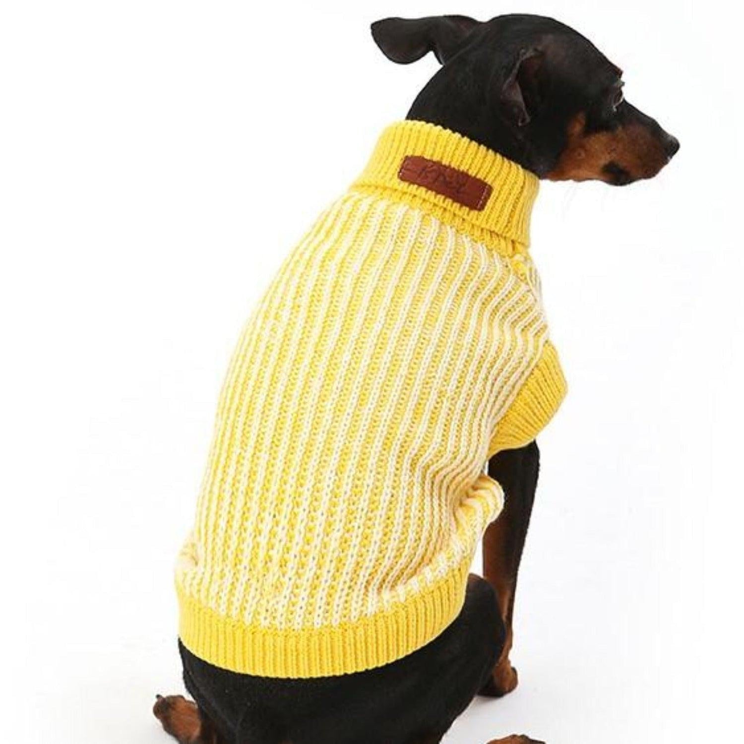 Ribbon Dog Sweater