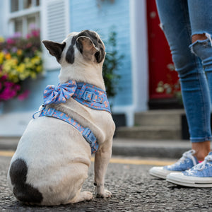 Sailor Dog Bow Tie Everybody Needs A Teddy Bear