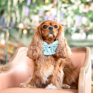 Sailor Dog Bow Tie Take Me To Dreamland