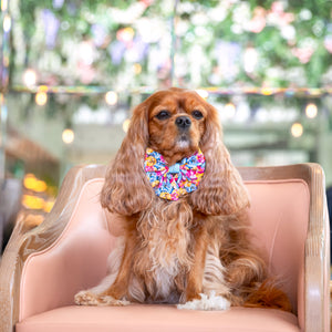 Sailor Dog Bow Tie Where Flowers Bloom