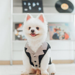 Smart Look Padded Dog Coat