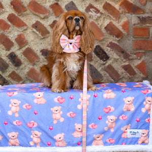 Soft Cosy Dog Blanket Everybody Needs A Teddy Bear