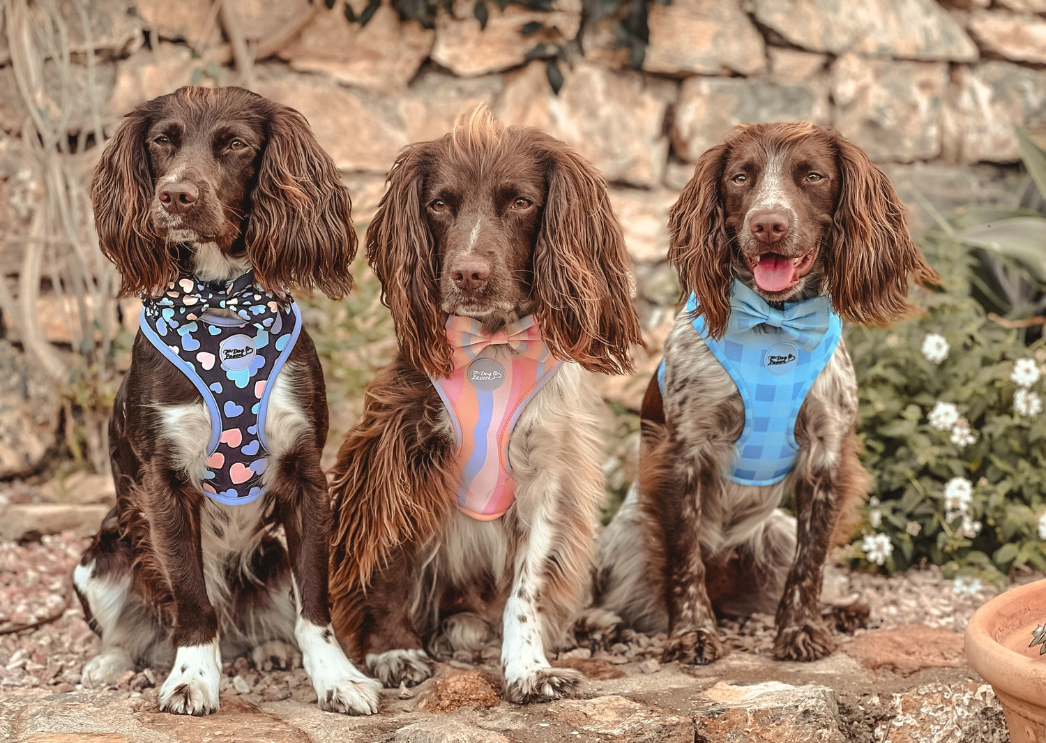 Soft Padded Dog Harnesses