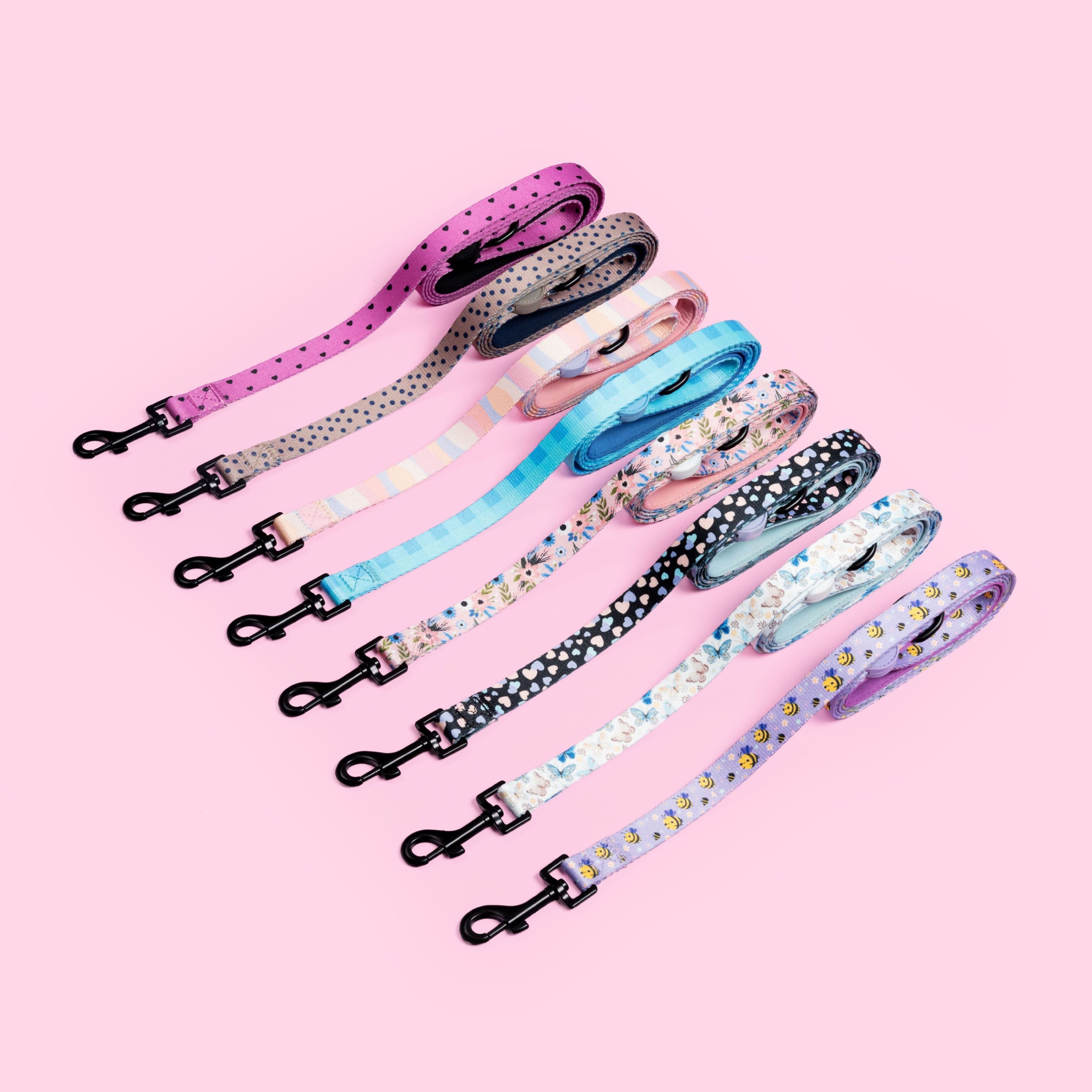 Soft Padded Dog Leads