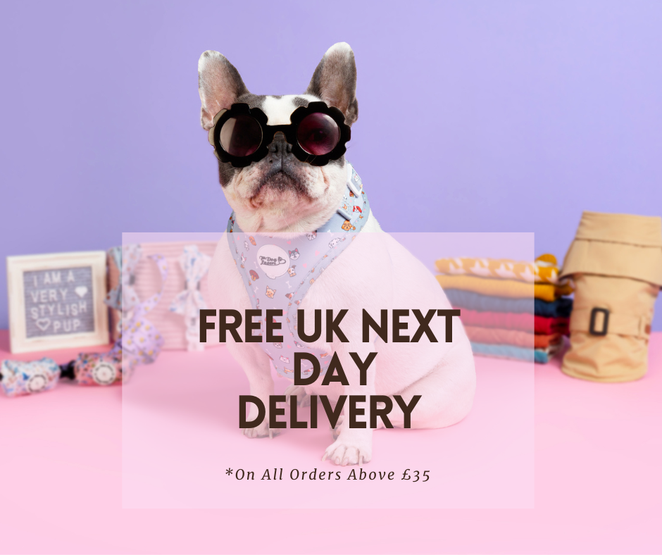 LIGHTNING FAST FREE SHIPPING THIS WEEK!