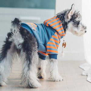 Stripe Dog Hoodie