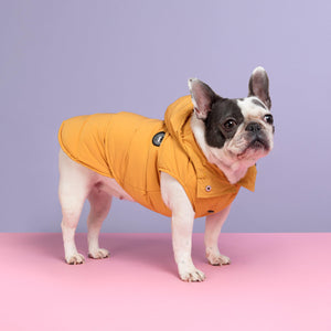 Supreme Puffer Dog Jacket Vest