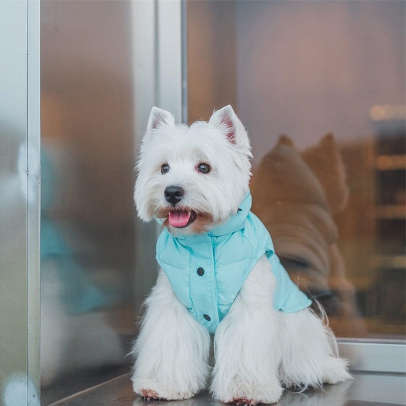 Supreme Puffer Dog Jacket Vest