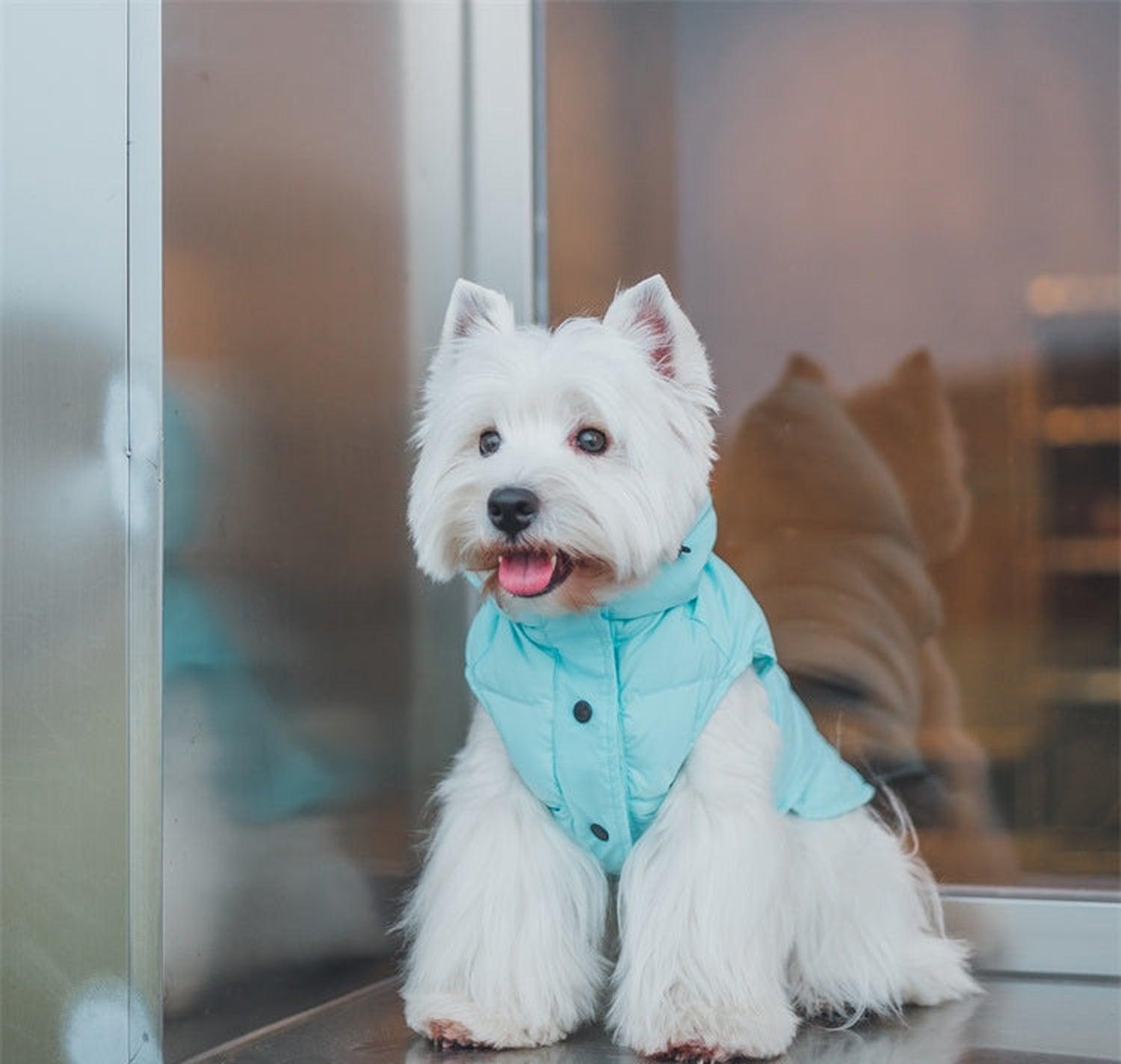 Supreme Puffer Dog Jacket Vest