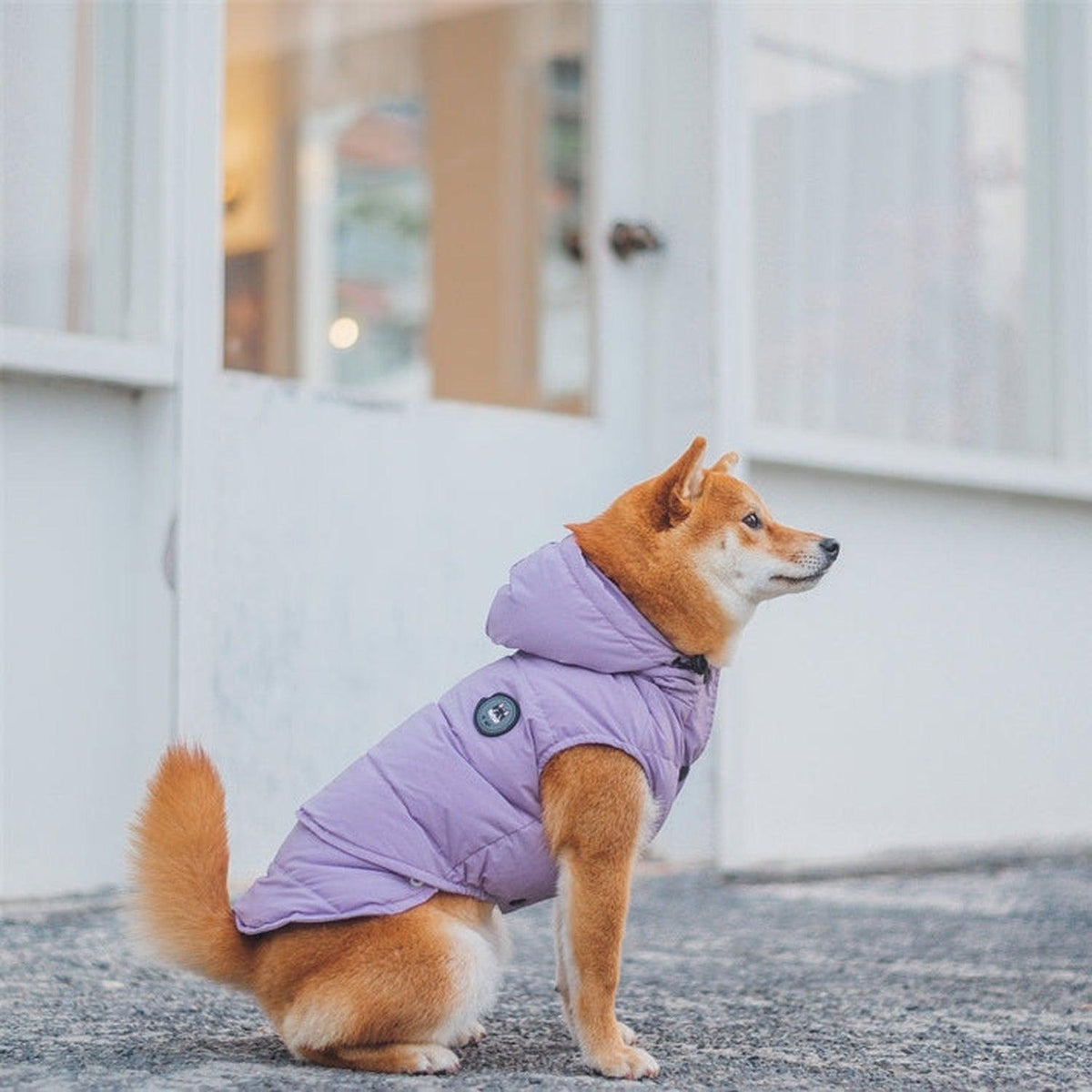 Supreme Puffer Dog Jacket Vest