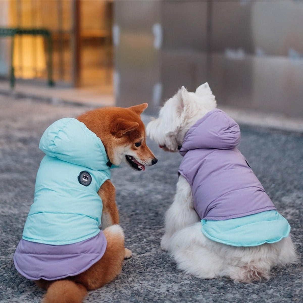 Supreme Puffer Dog Jacket Vest