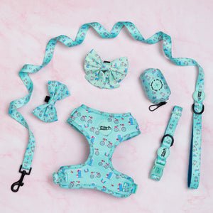 Take Me To Dreamland Dog Walking Five Piece Set