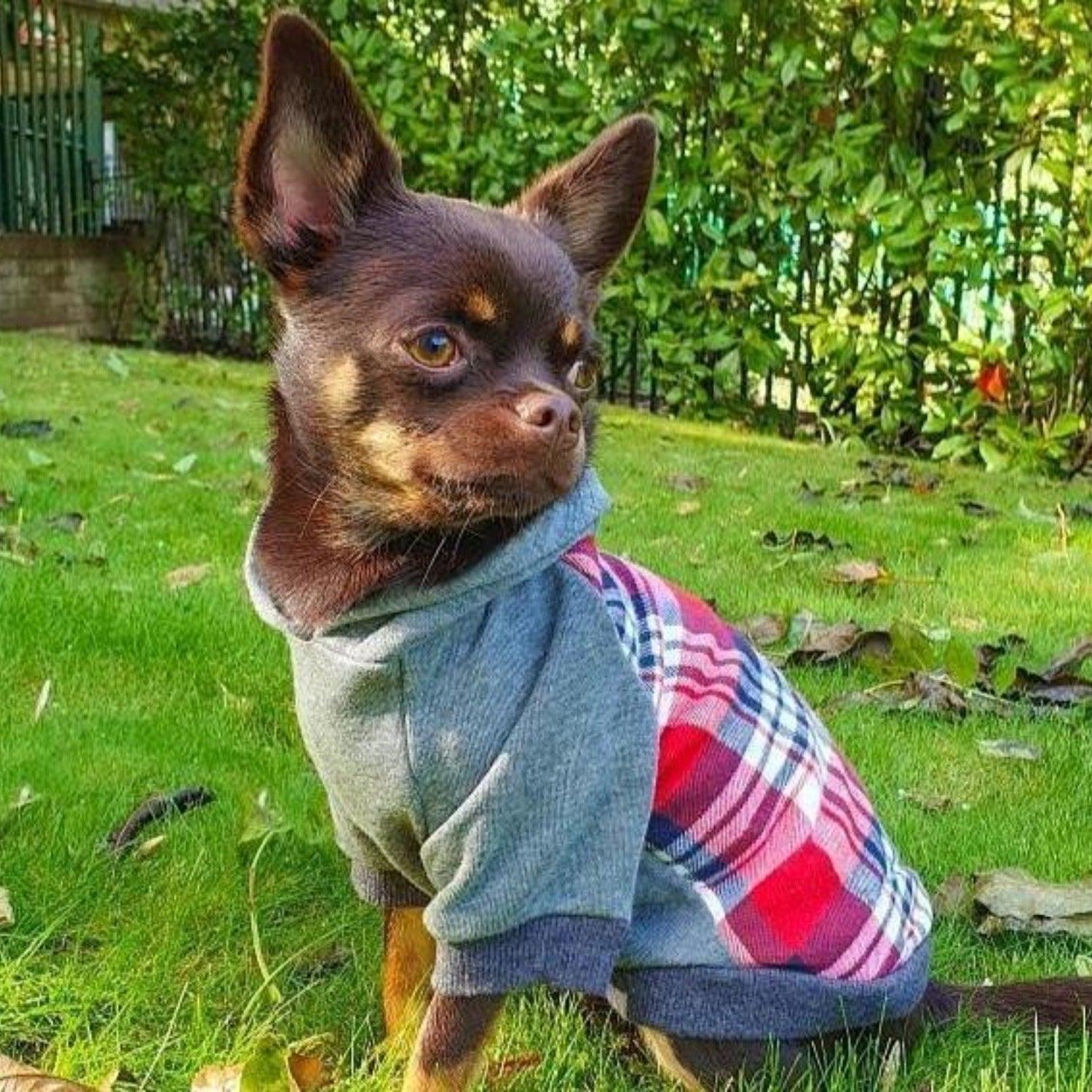 Tartan Dog Hoodie Jumper