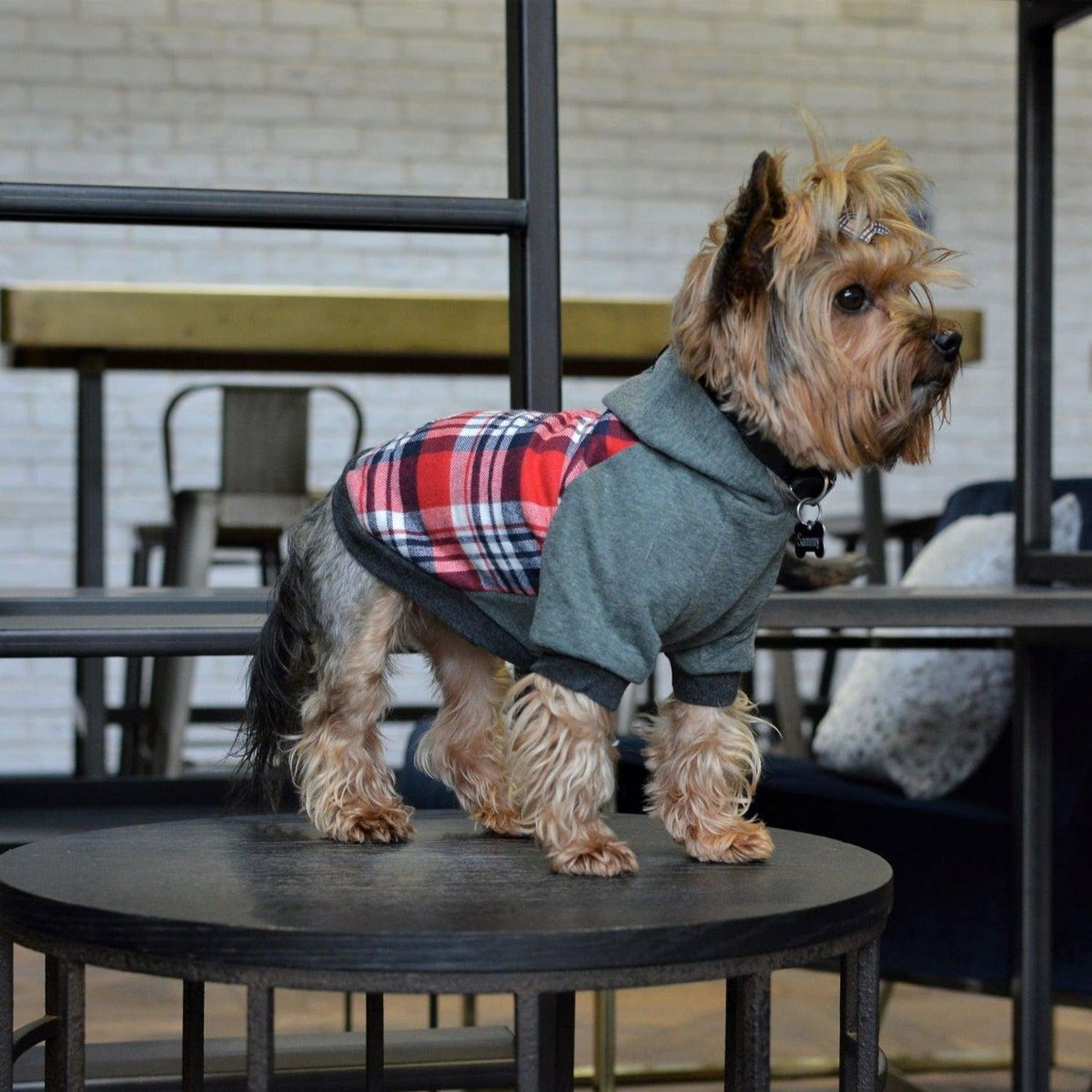 Tartan Dog Hoodie Jumper