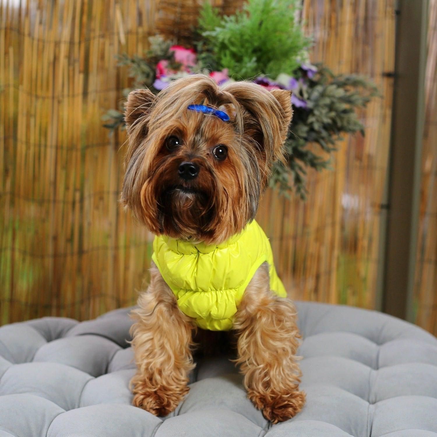 Ultra Light Down Puffer Dog Jacket Vest