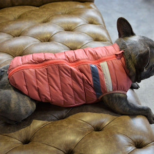 Ultra Light Down Puffer Dog Jacket Vest