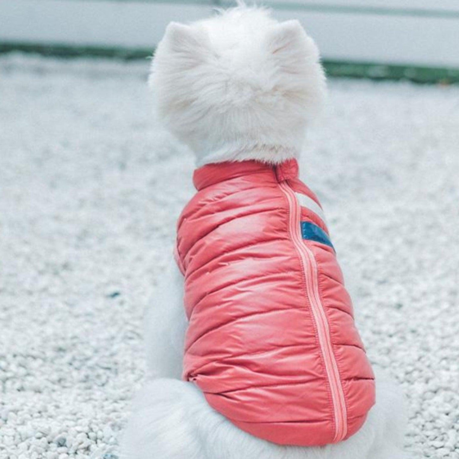 Ultra Light Down Puffer Dog Jacket Vest