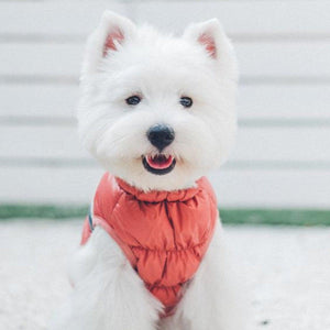 Ultra Light Down Puffer Dog Jacket Vest