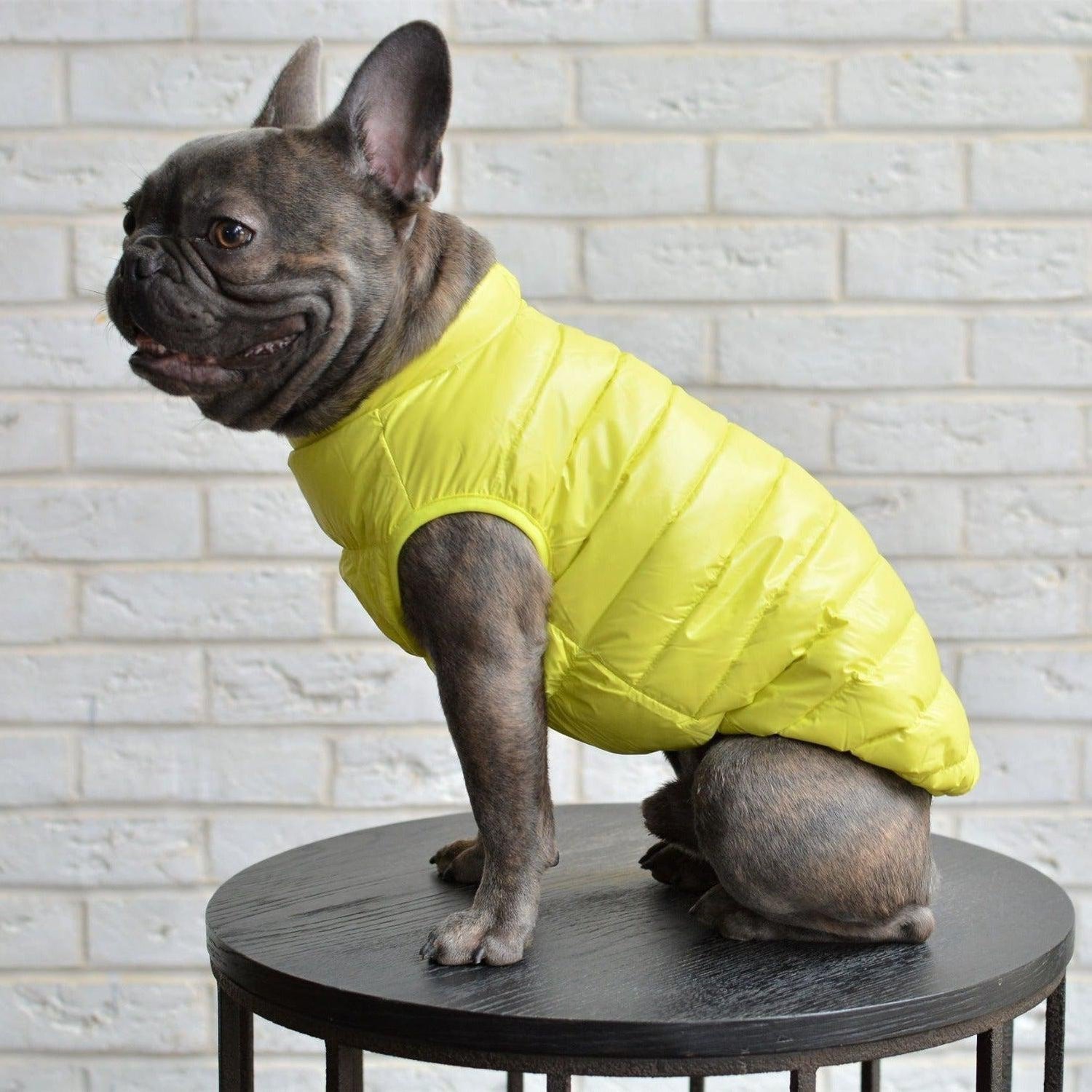 Ultra Light Down Puffer Dog Jacket Vest