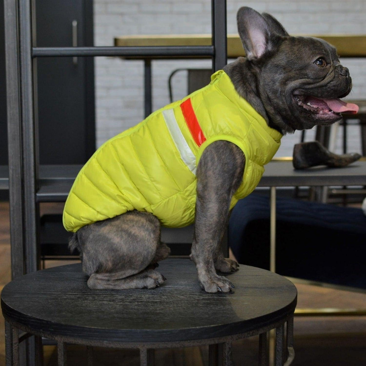 Ultra Light Down Puffer Dog Jacket Vest