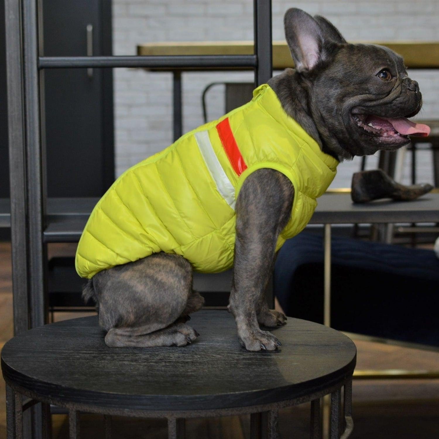 Ultra Light Down Puffer Dog Jacket Vest