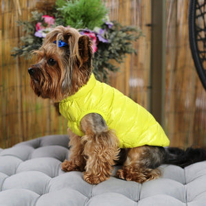 Ultra Light Down Puffer Dog Jacket Vest