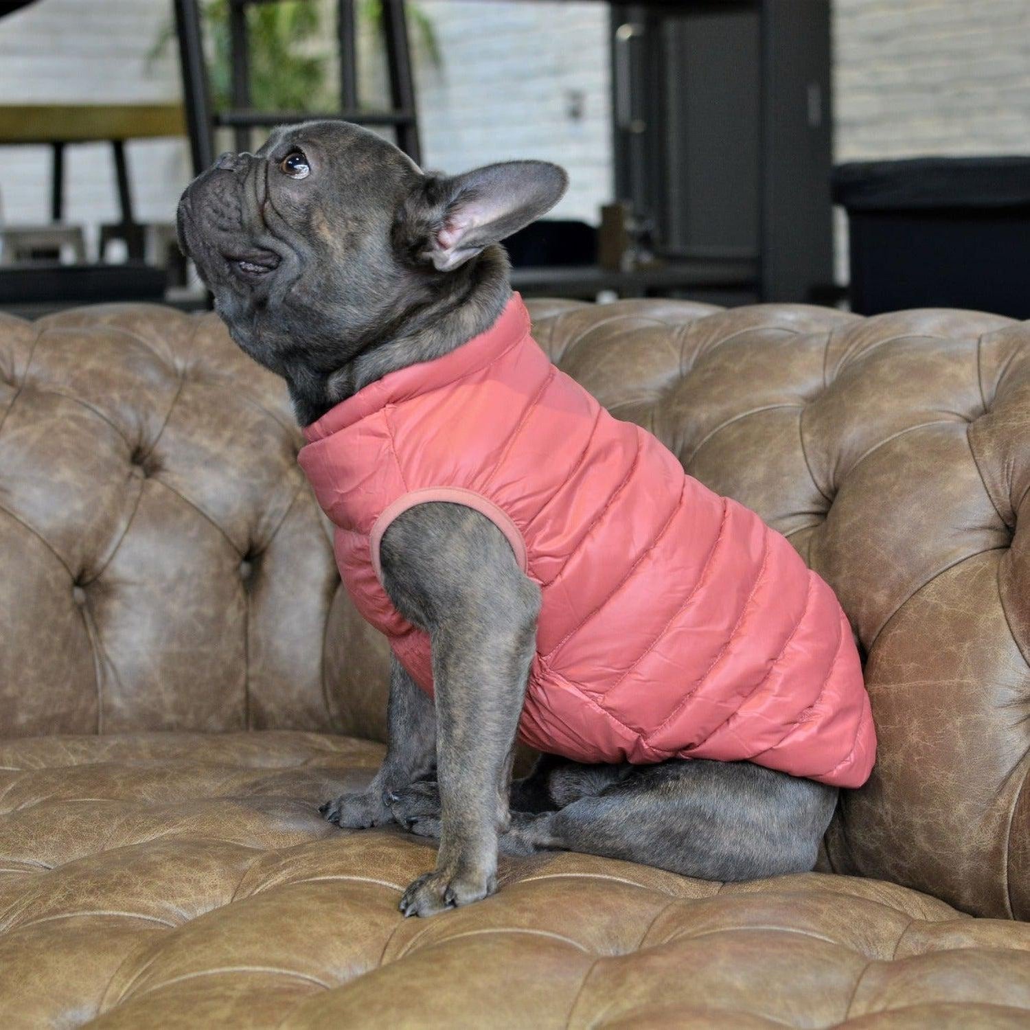 Ultra Light Down Puffer Dog Jacket Vest