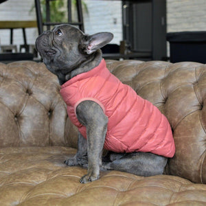 Ultra Light Down Puffer Dog Jacket Vest