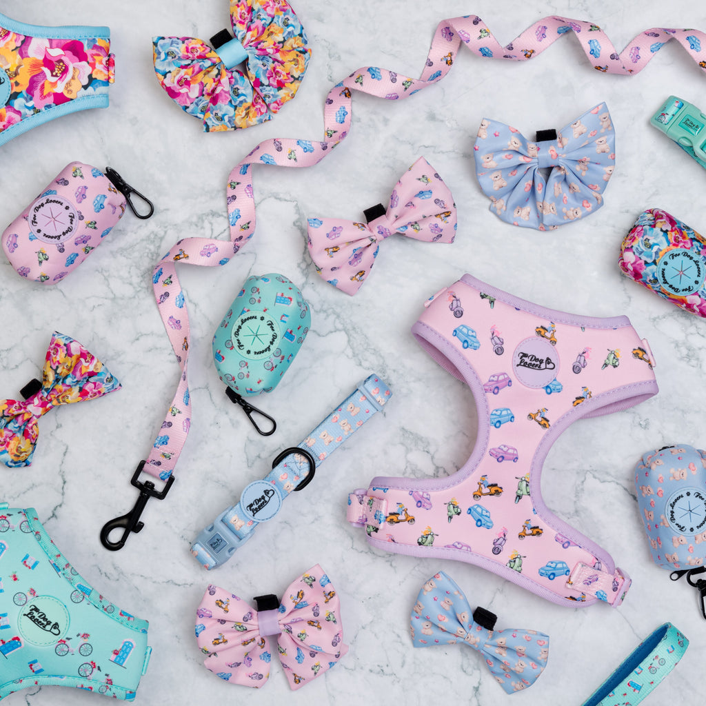 Unique Dog Harnesses & Accessories