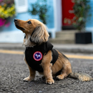 Windbreaker Gilet Dog Jacket