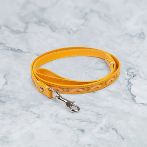 designer dog lead