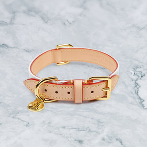 designer leather dog collar