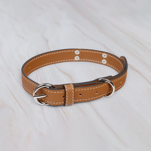 genuine leather dog collar