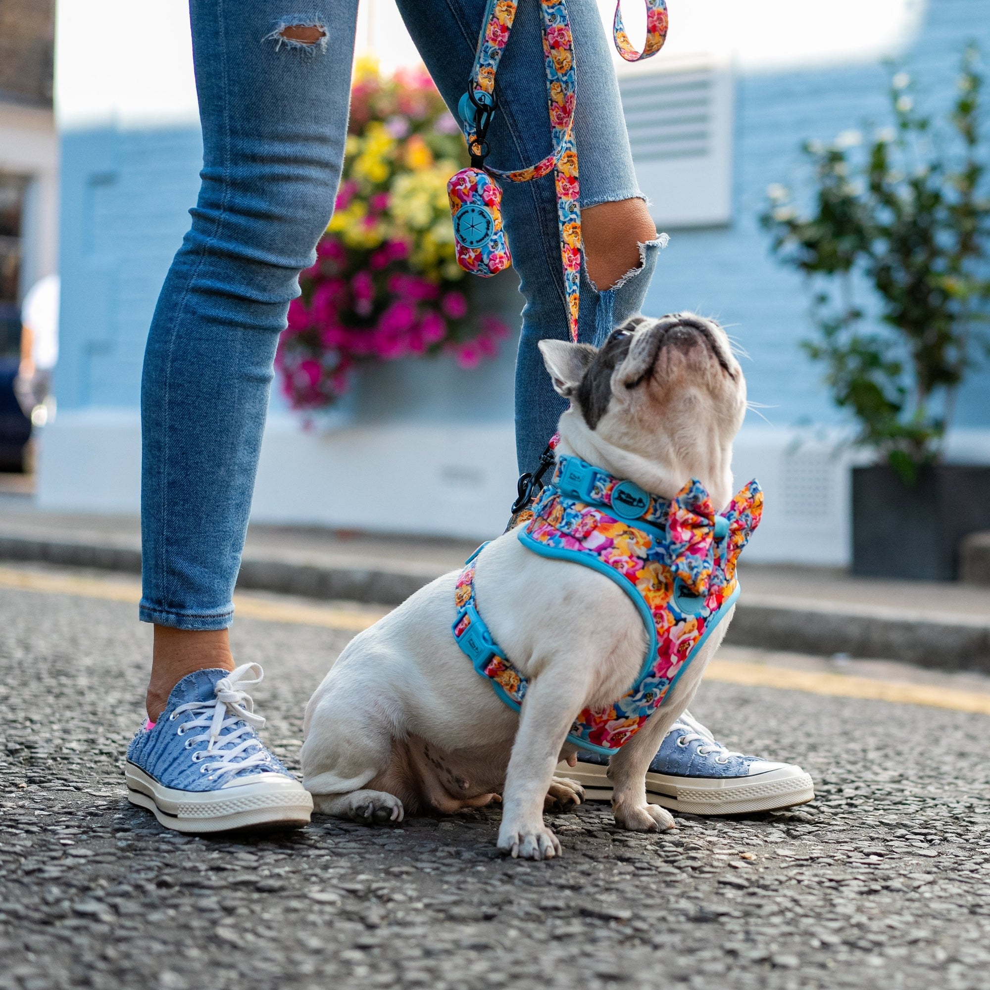 Adjustable Dog Harness Where Flowers Bloom