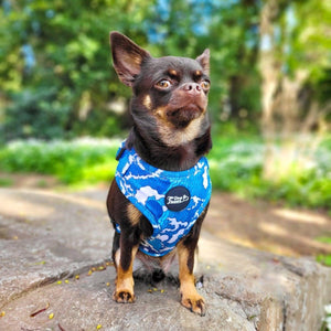 Adjustable Dog Harness - Ocean Adventures